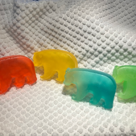 Teach Me Soap Bear Learning Kit